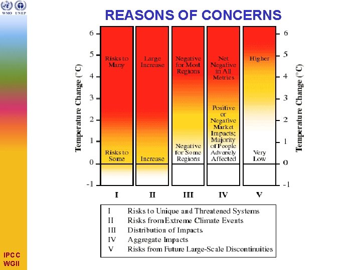 REASONS OF CONCERNS IPCC WGII 