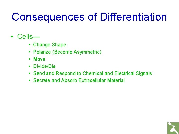 Consequences of Differentiation • Cells— • • • Change Shape Polarize (Become Asymmetric) Move