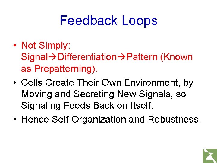 Feedback Loops • Not Simply: Signal Differentiation Pattern (Known as Prepatterning). • Cells Create