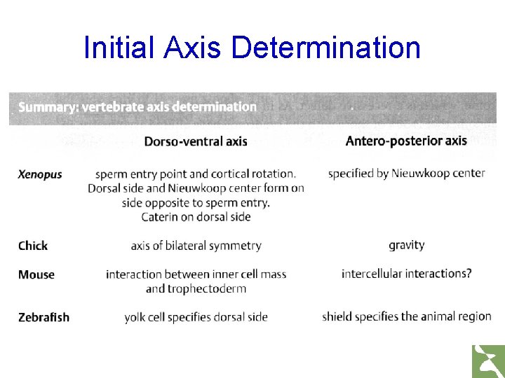 Initial Axis Determination 