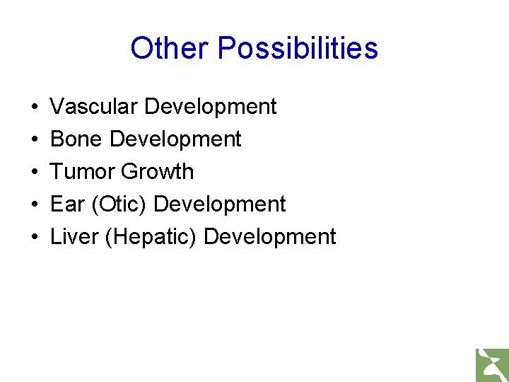 Other Possibilities • • • Vascular Development Bone Development Tumor Growth Ear (Otic) Development