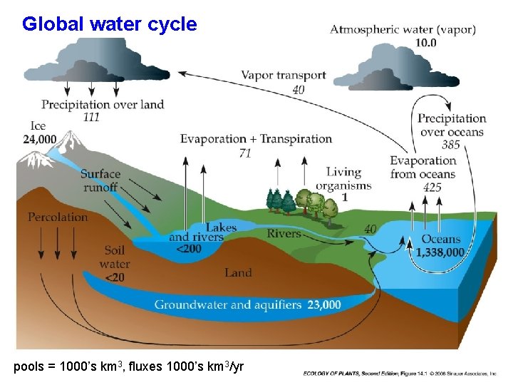 Global water cycle pools = 1000’s km 3, fluxes 1000’s km 3/yr 
