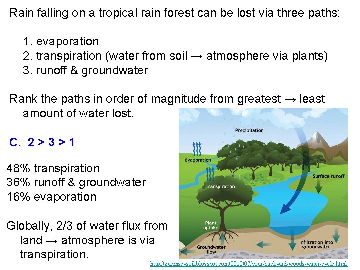 Rain falling on a tropical rain forest can be lost via three paths: 1.