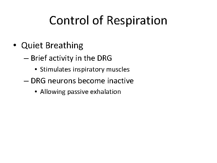 Control of Respiration • Quiet Breathing – Brief activity in the DRG • Stimulates