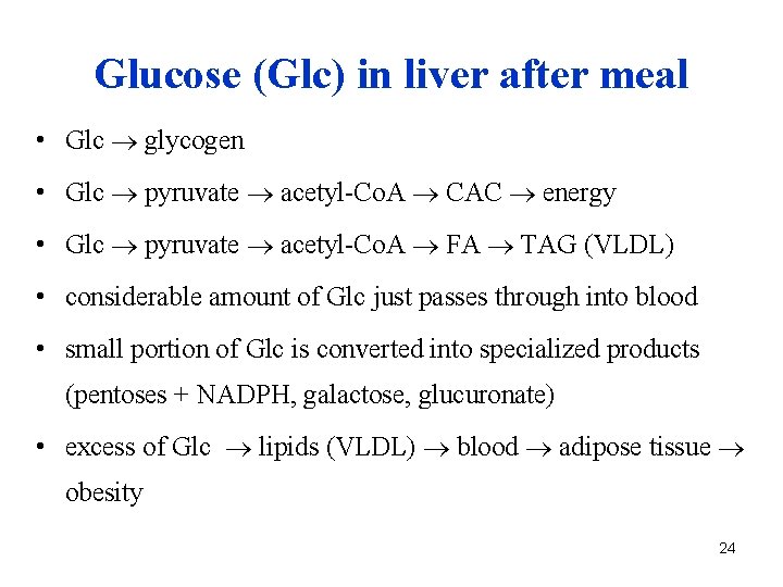 Glucose (Glc) in liver after meal • Glc glycogen • Glc pyruvate acetyl-Co. A