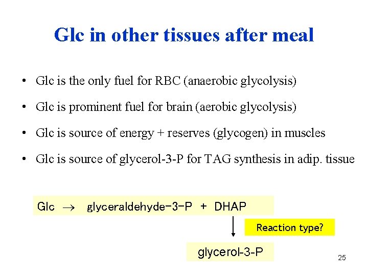 Glc in other tissues after meal • Glc is the only fuel for RBC