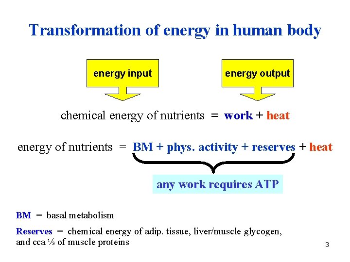 Transformation of energy in human body energy input energy output chemical energy of nutrients