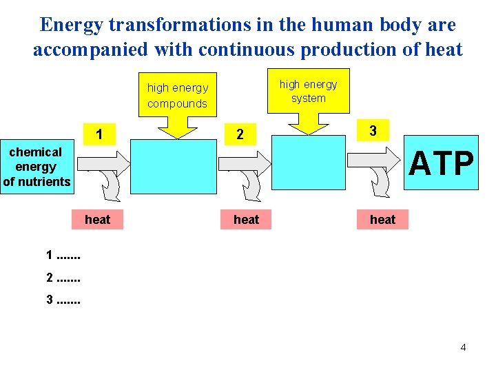 Energy transformations in the human body are accompanied with continuous production of heat high