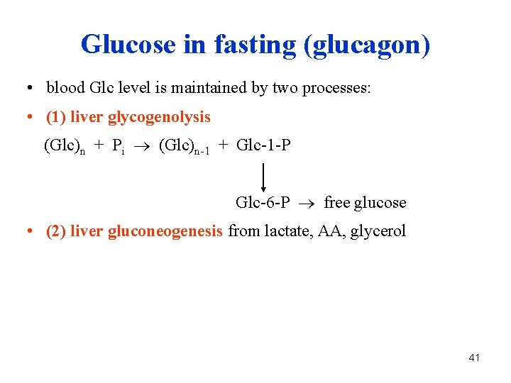 Glucose in fasting (glucagon) • blood Glc level is maintained by two processes: •