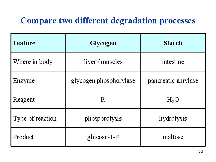 Compare two different degradation processes Feature Glycogen Starch liver / muscles intestine Enzyme glycogen