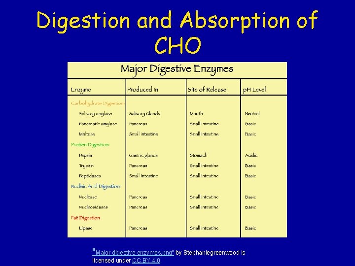 Digestion and Absorption of CHO "Major digestive enzymes. png" by Stephaniegreenwood is licensed under