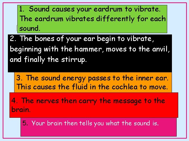 1. Sound causes your eardrum to vibrate. The eardrum vibrates differently for each How