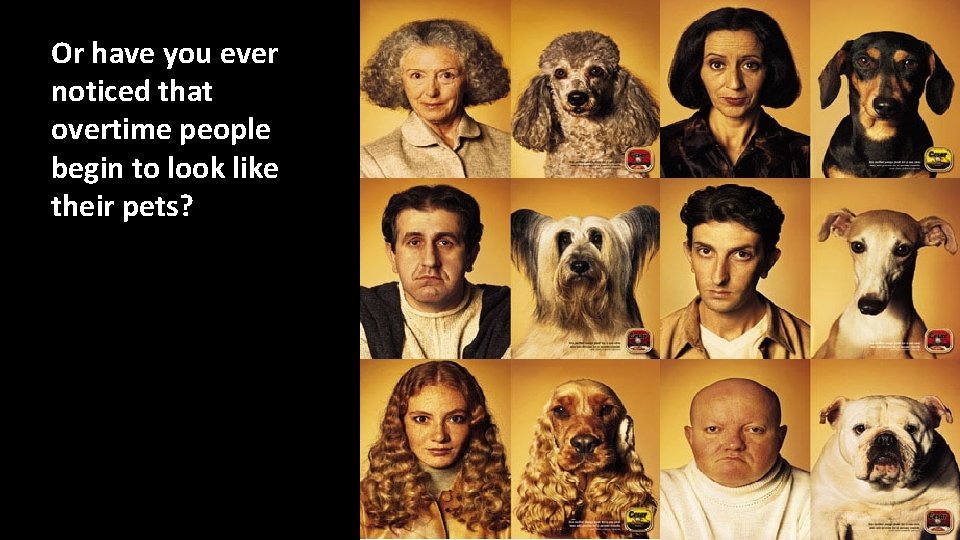 Or have you ever noticed that overtime people begin to look like their pets?