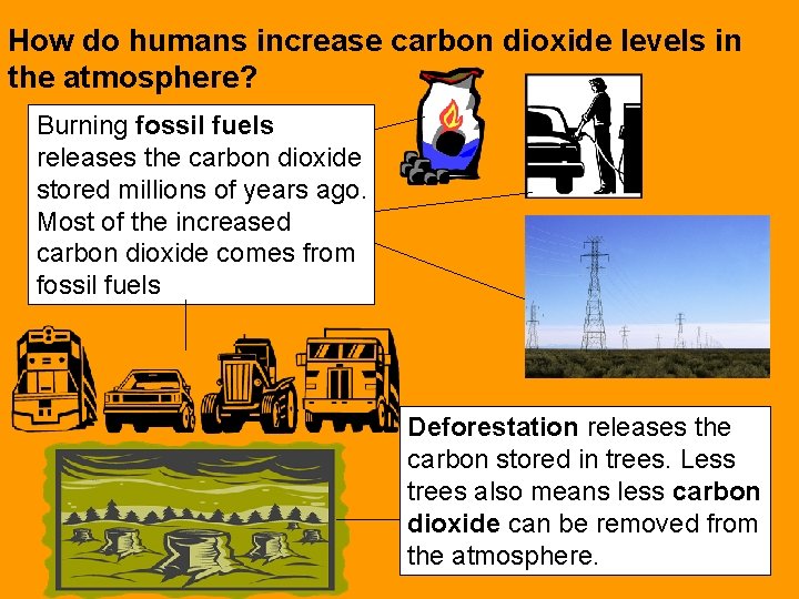 How do humans increase carbon dioxide levels in the atmosphere? Burning fossil fuels releases