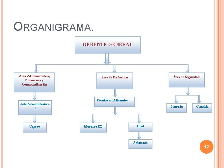 ORGANIGRAMA. GERENTE GENERAL Área Administrativa, Financiera y Comercialización Jefe Administrativo 1 Cajero Área de