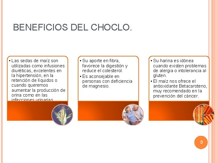 BENEFICIOS DEL CHOCLO. • Las sedas de maíz son utilizadas como infusiones diuréticas, excelentes