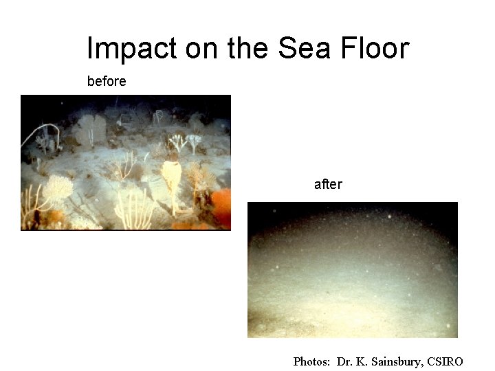 Impact on the Sea Floor before after Photos: Dr. K. Sainsbury, CSIRO 