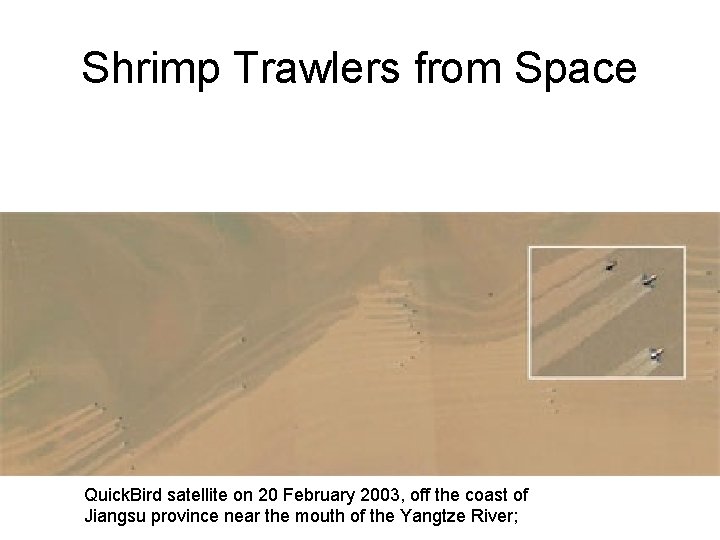 Shrimp Trawlers from Space Quick. Bird satellite on 20 February 2003, off the coast