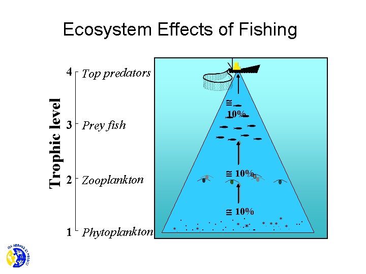 Ecosystem Effects of Fishing Trophic level 4 Top predators 3 Prey fish 2 Zooplankton