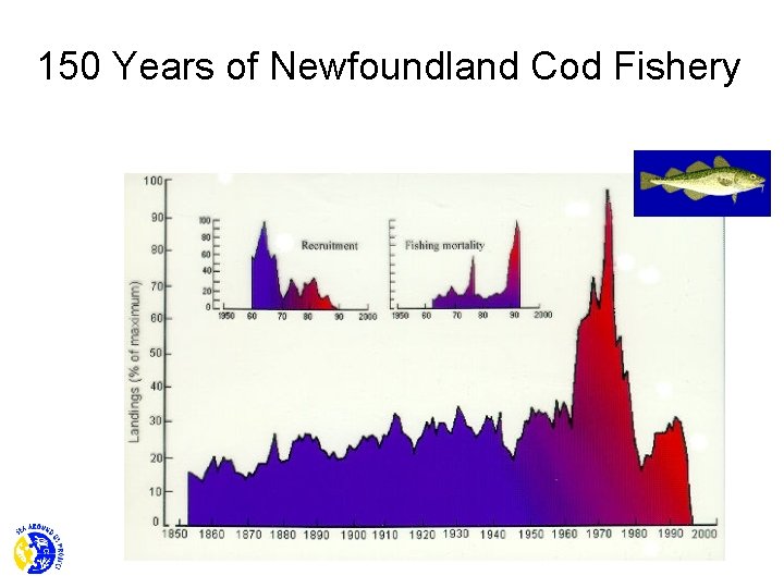 150 Years of Newfoundland Cod Fishery 