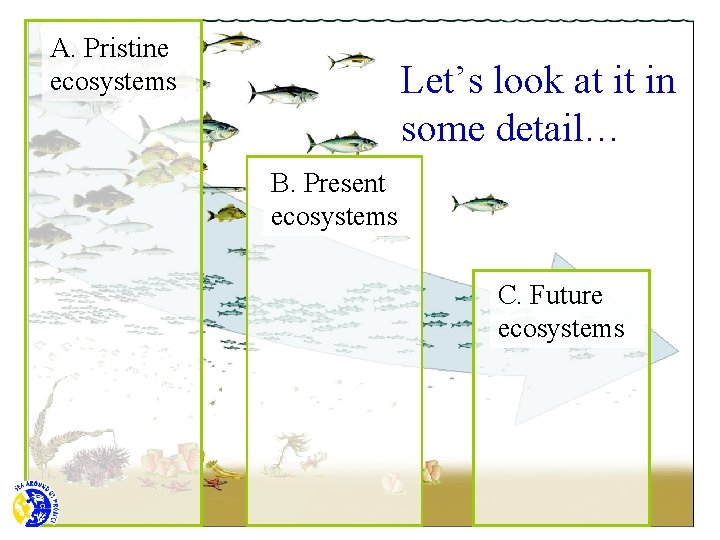 A. Pristine ecosystems Let’s look at it in some detail… B. Present ecosystems C.