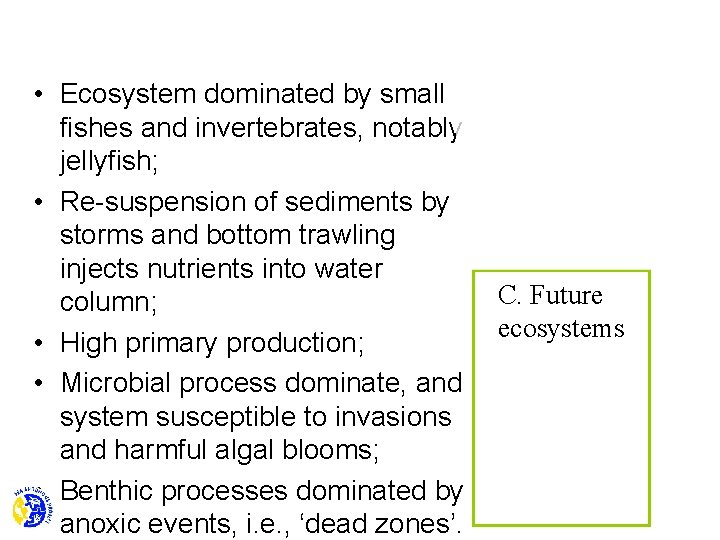  • Ecosystem dominated by small fishes and invertebrates, notably jellyfish; • Re-suspension of