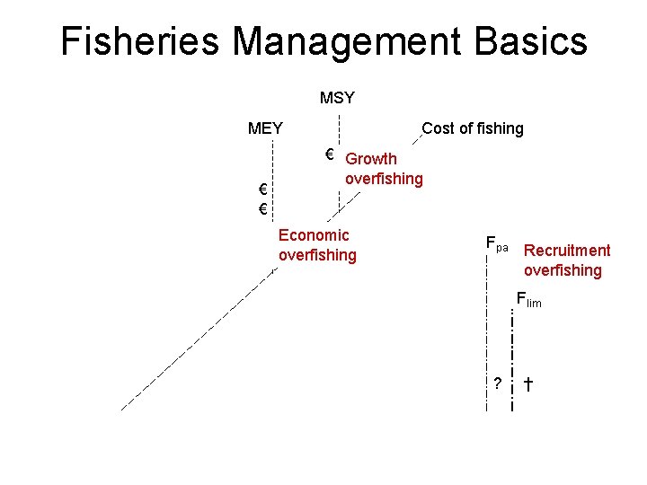 Fisheries Management Basics MSY MEY € € Cost of fishing € Growth overfishing Economic