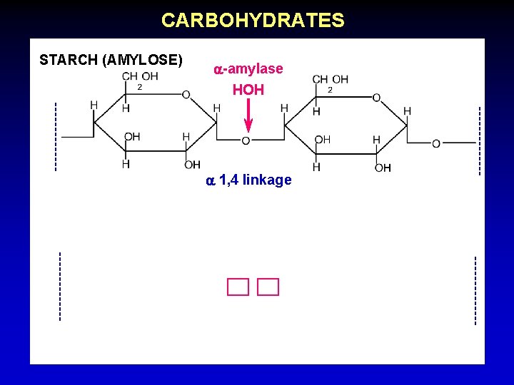 CARBOHYDRATES STARCH (AMYLOSE) a-amylase HOH a 1, 4 linkage 