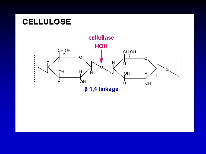 CELLULOSE cellullase HOH b 1, 4 linkage 