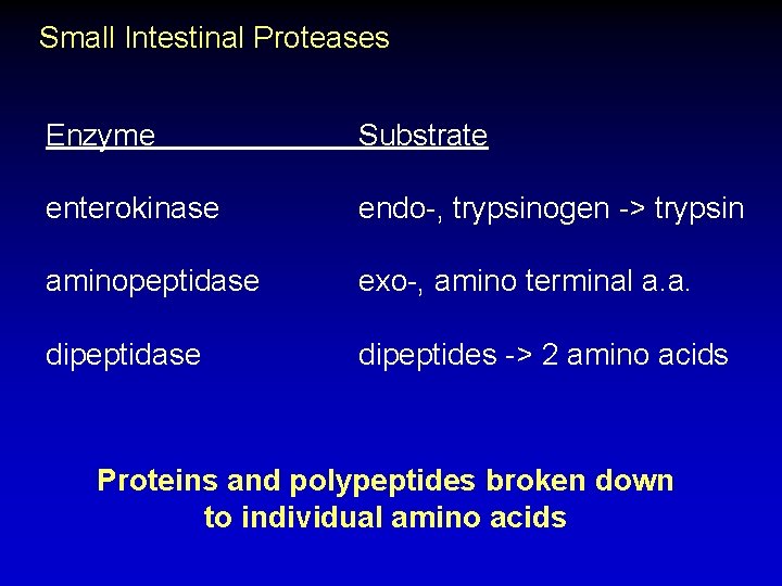 Small Intestinal Proteases Enzyme Substrate enterokinase endo-, trypsinogen -> trypsin aminopeptidase exo-, amino terminal