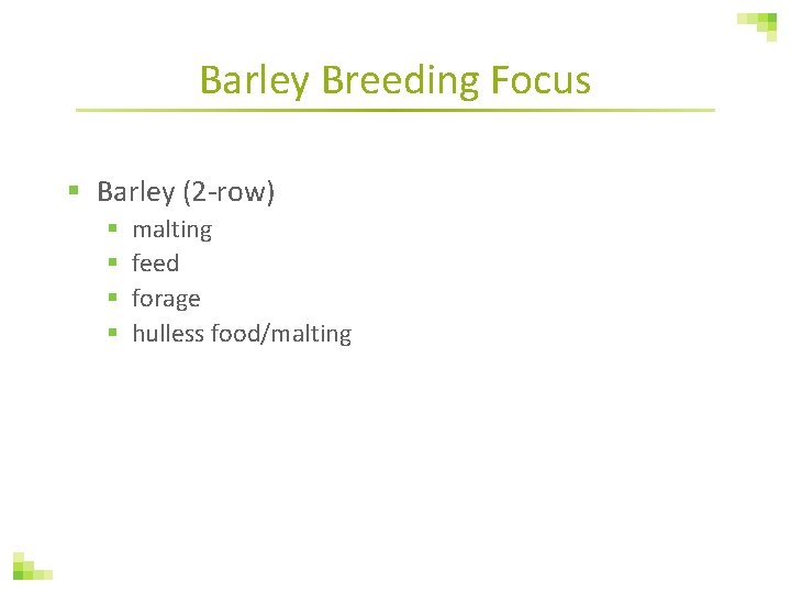 Barley Breeding Focus § Barley (2 -row) § § malting feed forage hulless food/malting