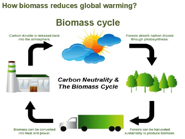 How biomass reduces global warming? Biomass cycle Prof. R. Shanthini 15 July 2019 