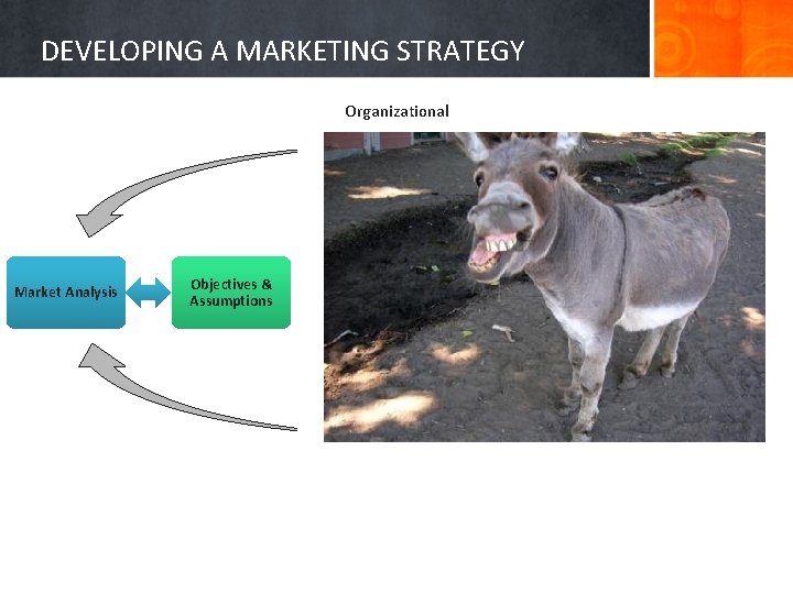 DEVELOPING A MARKETING STRATEGY Organizational Learning OBJECTIVES • Market outcomes (e. g. sales) •