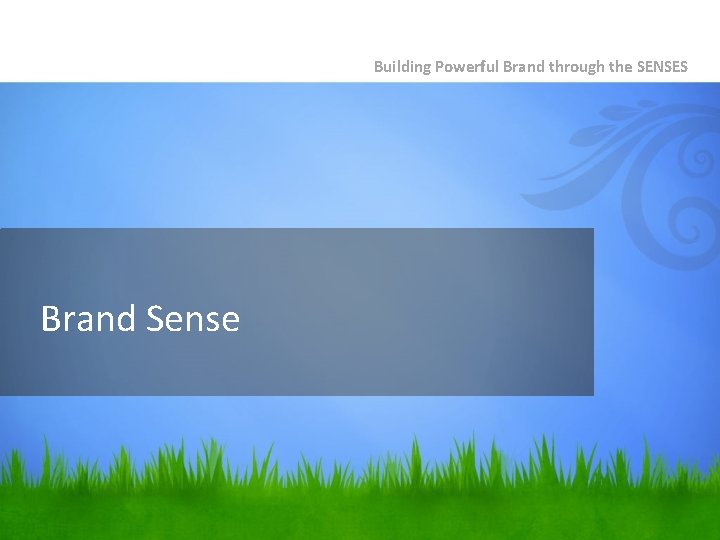 Building Powerful Brand through the SENSES Brand Sense 