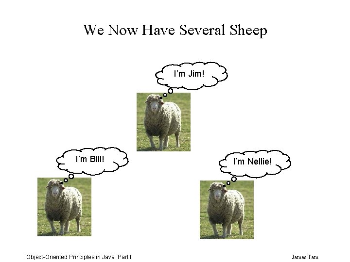 We Now Have Several Sheep I’m Jim! I’m Bill! Object-Oriented Principles in Java: Part