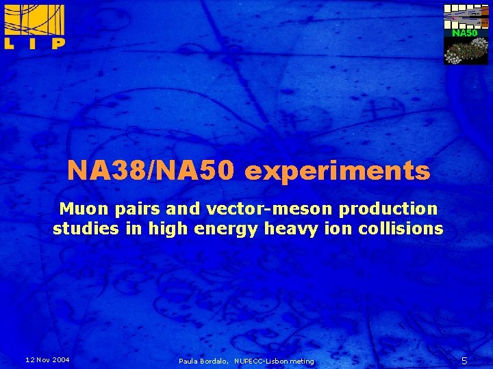NA 38/NA 50 experiments Muon pairs and vector-meson production studies in high energy heavy