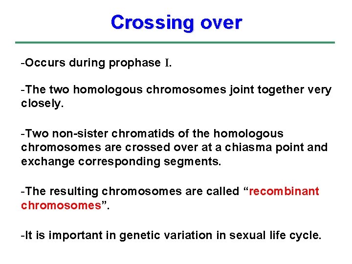 Crossing over -Occurs during prophase I. -The two homologous chromosomes joint together very closely.