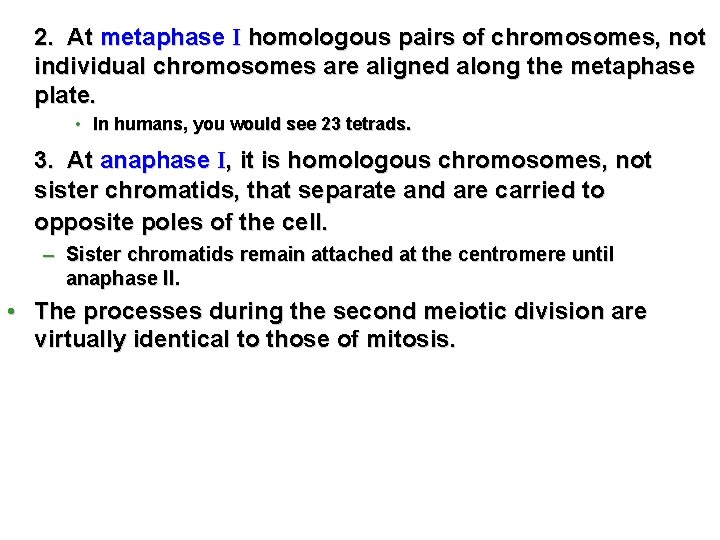 2. At metaphase I homologous pairs of chromosomes, not individual chromosomes are aligned along