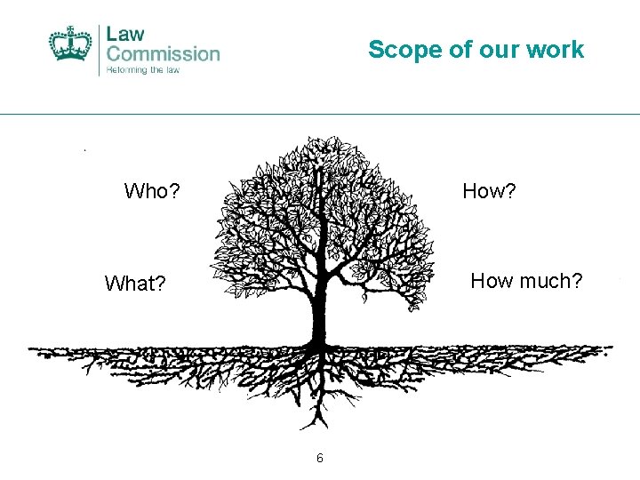 Scope of our work How? Who? How much? What? 6 