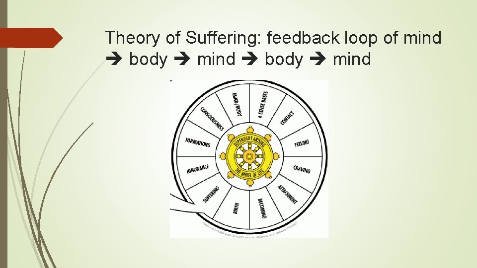 Theory of Suffering: feedback loop of mind body mind 