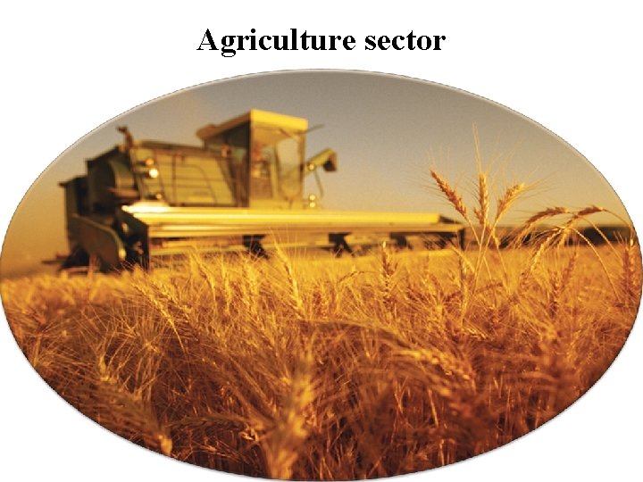 Agriculture sector 