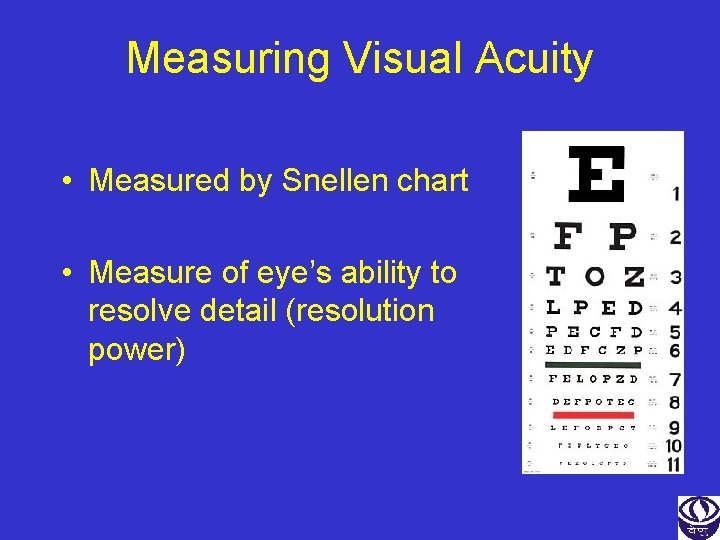 Measuring Visual Acuity • Measured by Snellen chart • Measure of eye’s ability to