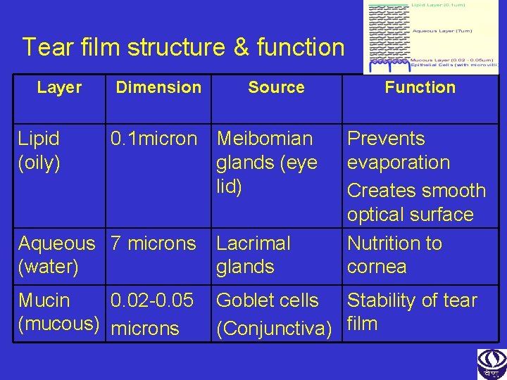 Tear film structure & function Layer Lipid (oily) Dimension Source 0. 1 micron Meibomian