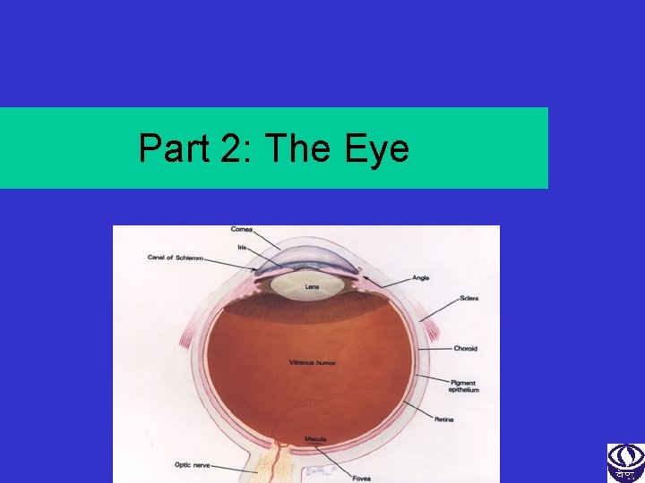 Part 2: The Eye 