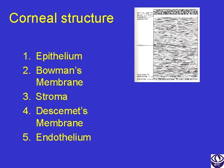 Corneal structure 1. Epithelium 2. Bowman’s Membrane 3. Stroma 4. Descemet’s Membrane 5. Endothelium