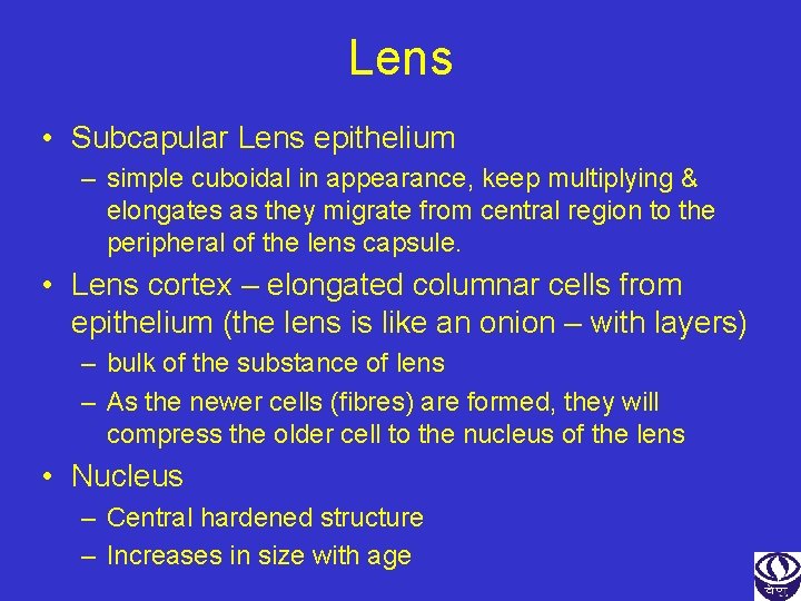 Lens • Subcapular Lens epithelium – simple cuboidal in appearance, keep multiplying & elongates