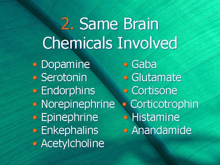 2. Same Brain Chemicals Involved • Dopamine • Serotonin • Endorphins • Norepinephrine •