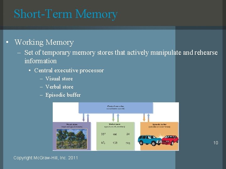 Short-Term Memory • Working Memory – Set of temporary memory stores that actively manipulate