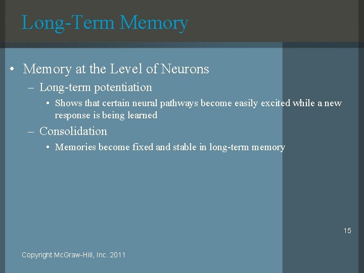 Long-Term Memory • Memory at the Level of Neurons – Long-term potentiation • Shows