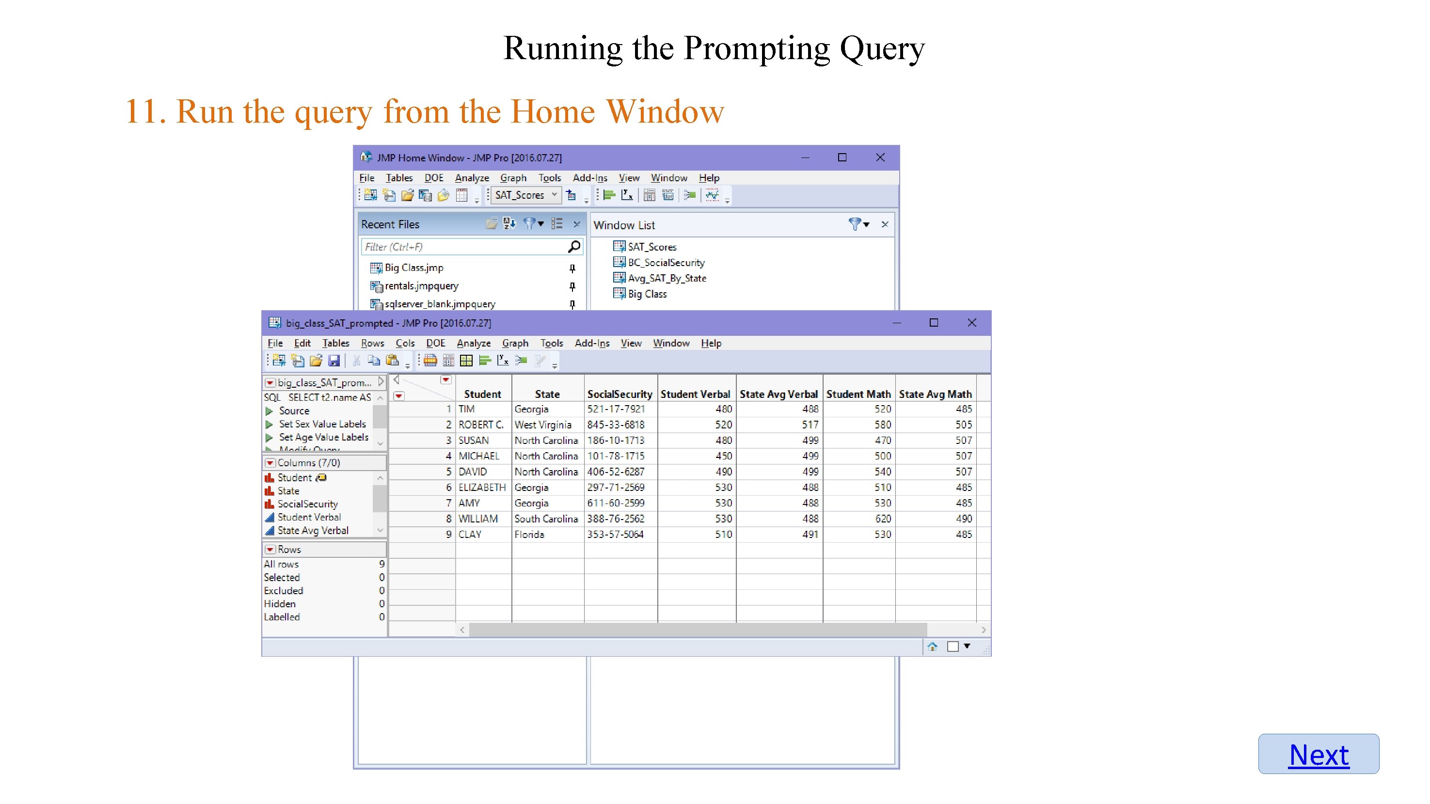 Running the Prompting Query 11. Run the query from the Home Window Next 